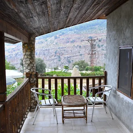 Pure Life Villa *