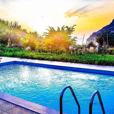 Pure Life Villa *