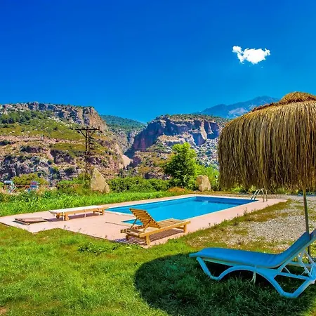 Villa Pure Life *