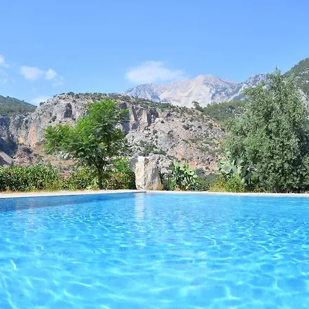 Pure Life * Ölüdeniz